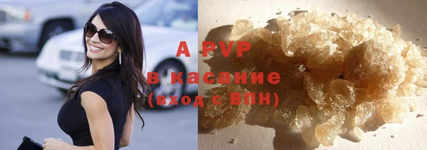 шишки Арсеньев