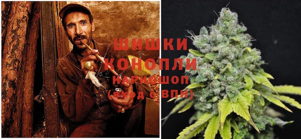шишки Арсеньев