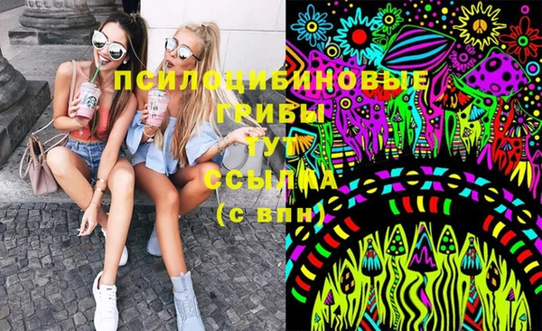 прущая мука Армянск