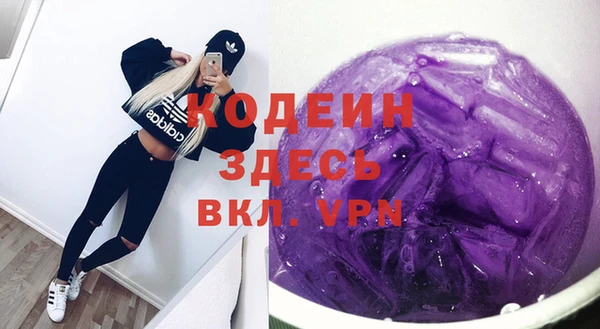 шишки Арсеньев