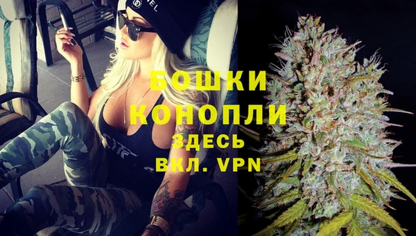 шишки Арсеньев