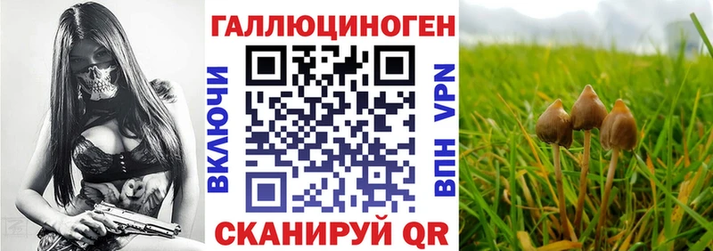 kraken вход  магазин продажи наркотиков  Артёмовский  Галлюциногенные грибы мухоморы 